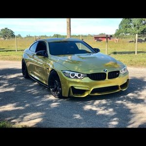 Meet your Posher, Randall